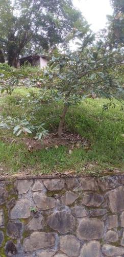 Haritha Pawra - National Hospital Kandy
